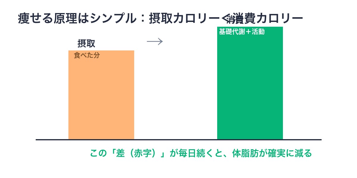 摂取カロリーと消費カロリーの収支図